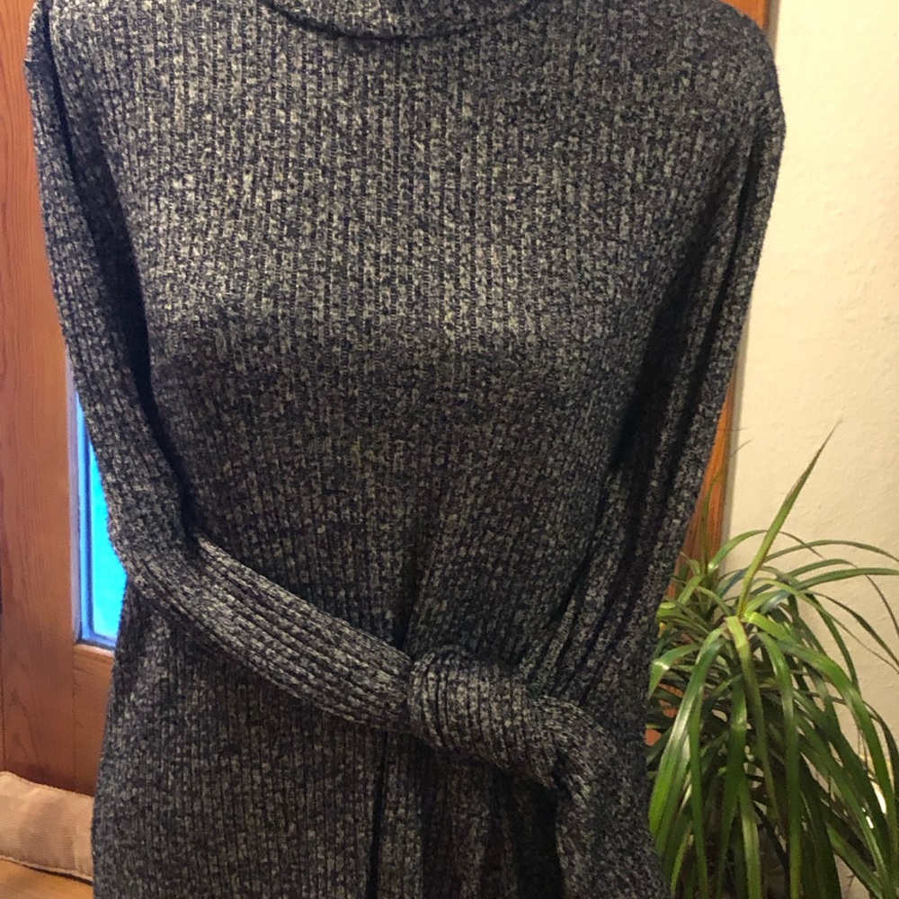 Banana Republic Dark Blue Cowl Neck Sweater Dress